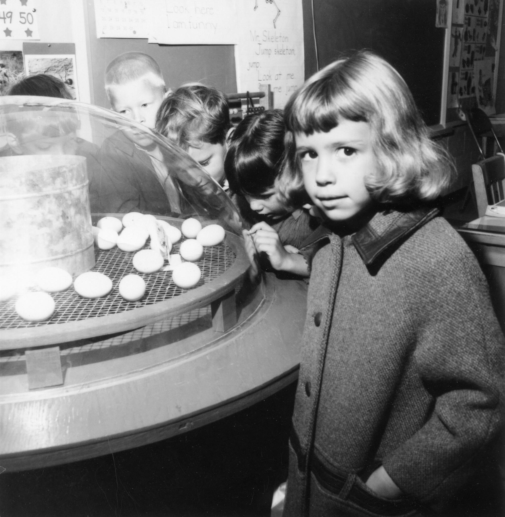 In 1968, one of the top commercial attractions of the State Fair of Oklahoma was the “see-through” incubator in the Farm Bureau exhibit. Thousands of people came through the display to get their first glimpse of a chick hatching. In the following months, the incubator was taken to numerous schools to educate children about the egg-hatching process.