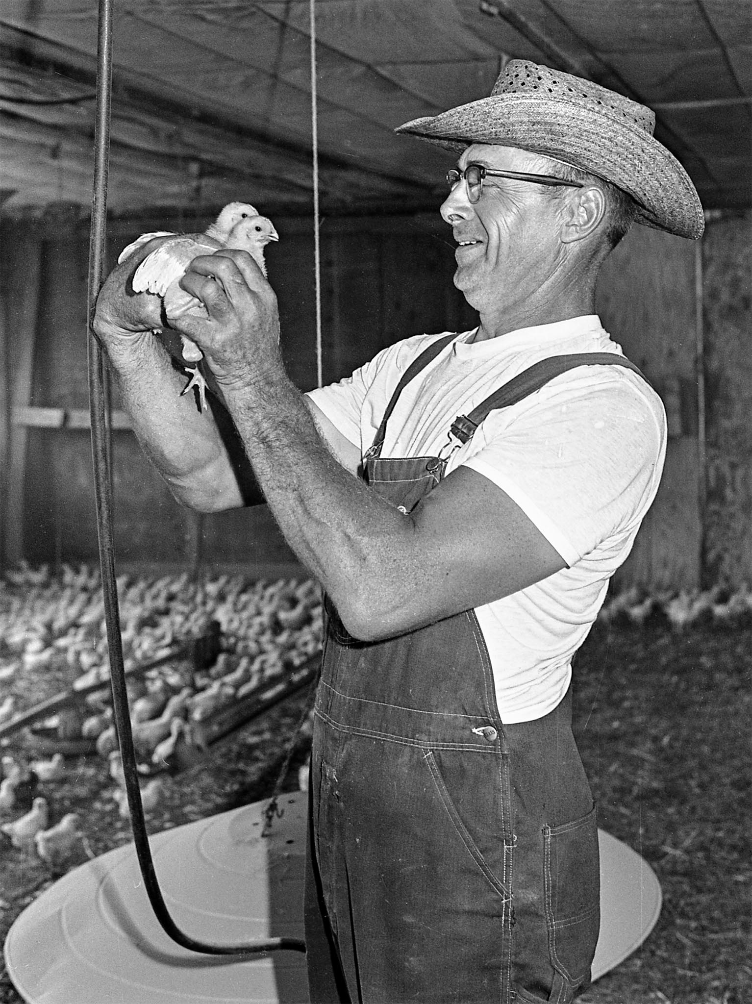 This photo was published in a 1977 issue of Oklahoma Farm Bureau Farmer in a feature story about Jim Martin, a broiler grower from Stilwell and an Adair County Farm Bureau Board member who produced between 90,000 and 100,000 chickens annually. Martin spoke about the benefits of joining an organization designed to help growers increase their profit margins. In addition, Martin described the life of a broiler grower and the constant care that was necessary to properly care for poultry.
