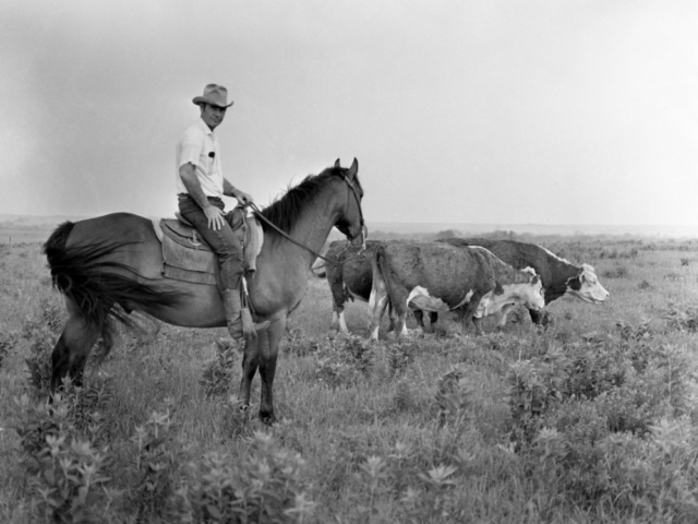 OKFB President James Lockett on his farm in Osage County.