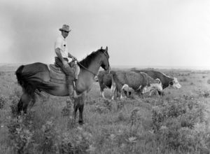 OKFB President James Lockett on his farm in Osage County.